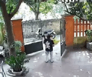 Trèo cổng suýt rách áo để tặng quà bạn gái, chưa kịp bày tỏ thanh niên liền chạy trối chết vì điều này
