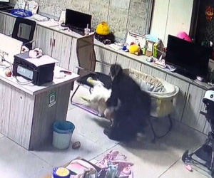 Clip: Mải nấu ăn nhưng người mẹ vẫn có pha cứu nguy 'xuất thần' khi con gặp nguy hiểm
