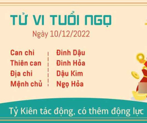 Tử vi thứ 7 ngày 10/12/2022 của 12 con giáp: Ngọ có động lực phát triển, Dậu chán nản
