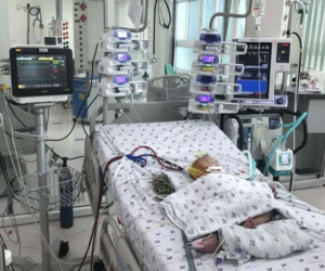 Bé 7 tháng tuổi sốc sốt xuất huyết được can thiệp ECMO cứu sống