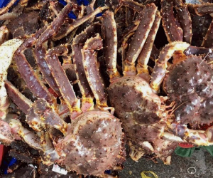 Hải sản cao cấp giá giảm mạnh, có loại rẻ hơn gần 1 triệu đồng/kg
