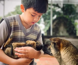 Làm văn tả bố 'xù xì và hơi bừa bộn', cậu bé lớp 5 khiến dân mạng nhiệt tình chấm 10 điểm vì: 'Quá cảm động!'