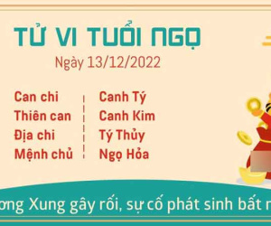 Tử vi thứ 3 ngày 13/12/2022 của 12 con giáp: Ngọ gặp sự cố, Tuất phát triển