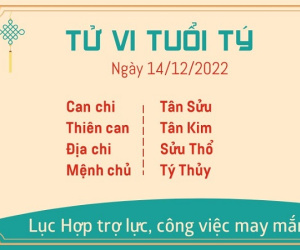 Tử vi thứ 4 ngày 14/12/2022 của 12 con giáp: Tý đón tài lộc, Thìn đề phòng tiểu nhân