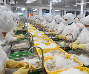 Liên tiếp lập kỷ lục, ngành hàng tỷ USD vẫn không ngừng thay đổi