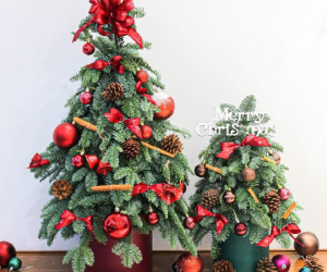 Dịch vụ thuê cây thông đắt khách mùa Giáng sinh