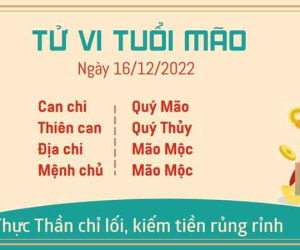 Tử vi thứ 6 ngày 16/12/2022 của 12 con giáp: Mão rủng rỉnh, Ngọ cẩn thật mất tiền