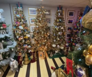 Cặp vợ chồng trang hoàng 133 cây thông Noel khắp nhà đón Giáng sinh