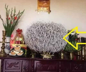 3 điềm trên bàn thờ gia chủ ăn lộc tổ tiên, 1 thứ cẩn thận tai ương