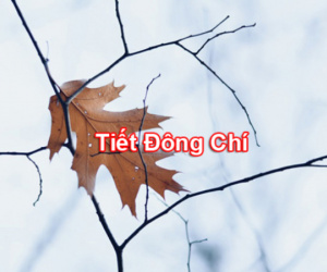 Ảnh bìa bài viết 856278