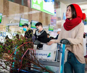 Khách gửi đào, mai qua đường hàng không dịp Tết cần lưu ý gì?