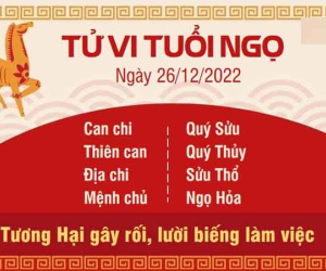 Tử vi thứ 2 ngày 26/12/2022 của 12 con giáp: Dậu được thưởng, Ngọ lười biếng