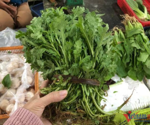 Đà Nẵng: Rau xanh khan hàng, giá cao ngất ngưởng