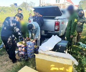 Tạm giam 2 đối tượng chở gần 700kg pháo nổ từ biên giới về Lâm Đồng