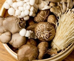 Mối liên hệ giữa nấm và cuộc sống ít bệnh tật