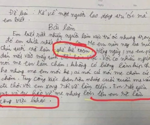Học sinh tiểu học làm văn bày tỏ sự tự hào về mẹ nhưng câu kết với nội dung 'lạ' khiến dân mạng cười ngất