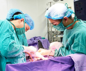 Bé gái 5 tuổi mắc bệnh hiếm, từng nhiều lần bị lồng ruột