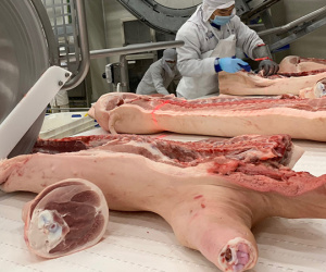 Sức mua yếu, giá lợn hơi giảm về 50.000 đồng/kg