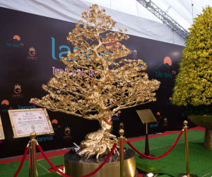 Cây mai mạ vàng 24k giá rao bán gần 6 tỷ đồng ở Hà Nội