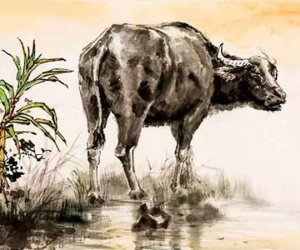 Cuối tuần (7 - 8/1) Tài tinh chiếu mệnh, 4 con giáp này ôm tiền nặng túi
