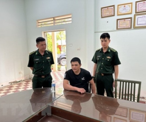 Ảnh minh họa