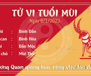 Tử vi Chủ Nhật ngày 08/01/2023 của 12 con giáp: Thân đón tài lộc, Mùi chú ý sức khỏe