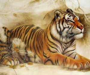Thần Tài báo 'mộng vàng', chỉ qua một đêm có 3 tuổi này ôm cả đống tiền, giàu lên trông thấy