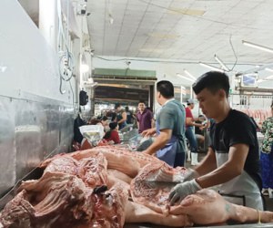 Thị trường heo Tết ảm đạm