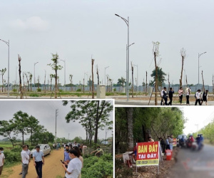 Ôm tiền đón đầu ăn theo siêu dự án, người lãi đậm kẻ sụt hố trắng tay