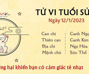 Tử vi thứ 5 ngày 12/01/2023 của 12 con giáp: Mùi thuận lợi, Mão chồng chéo công việc