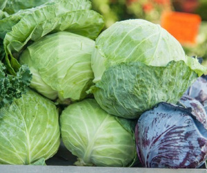 Các thực phẩm bổ thận giá rẻ, dễ kiếm
