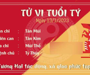 Tử vi thứ 6 ngày 13/01/2023 của 12 con giáp: Tý xã giao phức tạp, Dần tài lộc dồi dào