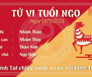 Tử vi thứ 7 ngày 14/01/2023 của 12 con giáp: Ngọ kiếm  tiền, Dần sóng gió