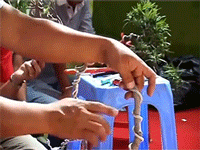 Nghệ nhân biểu diễn uốn cây cảnh gặp sự cố và lời bào chữa khiến dân tình cười ra nước mắt
