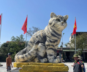 'Chủ nhân' linh vật mèo nhận 'mưa lời khen' ở Quảng Trị lên tiếng