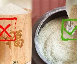 Trước giao thừa hãy vùi một thứ vào hũ gạo, cả năm tiền rủng rỉnh