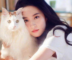 Lưu Diệc Phi sống độc thân cùng 16 con mèo, có bộ sưu tập xe hàng hiệu
