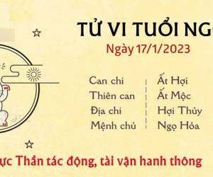 Tử vi thứ 3 ngày 17/01/2023 của 12 con giáp: Ngọ tài lộc về tay, Tị gặp rắc rối