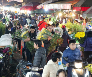 Đêm không ngủ ở chợ hoa lớn nhất Hà Nội giáp Tết