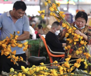 Cận cảnh chợ hoa Tết ở Trung Quốc