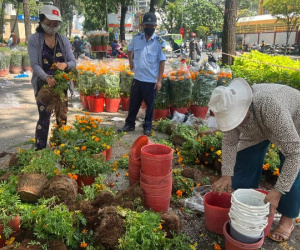 Nhiều tiểu thương cắt bỏ hoa để lấy chậu chiều 30 Tết