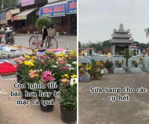 Hoa Tết bị ép giá, cuối ngày chàng trai mang hết đến nơi an nghỉ cho các cụ