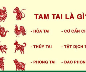 Chuyên gia chỉ cách hóa giải vận hạn cho người tuổi Tý, Sửu, Dần, Mão