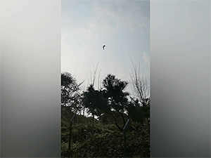 Rơi khinh khí cầu, khách du lịch thiệt mạng khi đang tham quan