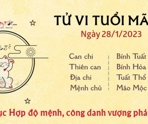 Tử vi Thứ 7 ngày 28/01/2023 của 12 con giáp: Mão đón tài lộc, Thìn tiêu hao tiền bạc