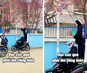 Phẫn nộ nhóm thanh niên vô tư đứng lên xe máy bẻ mai anh đào
