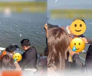 Lại một 'báo thủ' nhỏ tuổi khiến dân tình phẫn nộ: Đi thăm hải âu nhưng thay vì ném thức ăn, cậu nhóc nhét luôn chú chim tội nghiệp vào chiếc lọ dưới sự giúp đỡ của bố mẹ