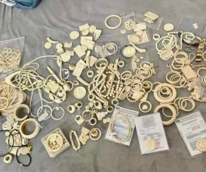 Hà Nội: Nam thanh niên bị bắt vì buôn bán trang sức làm từ ngà voi, móng hổ