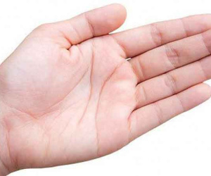 5 đường chỉ tay quan trọng nhất mà ai cũng nên biết để tự coi tướng cho chính mình