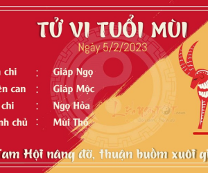 Tử vi Chủ Nhật ngày 05/02/2023 của 12 con giáp: Mùi đón tài lộc, Thân gặp rắc rối